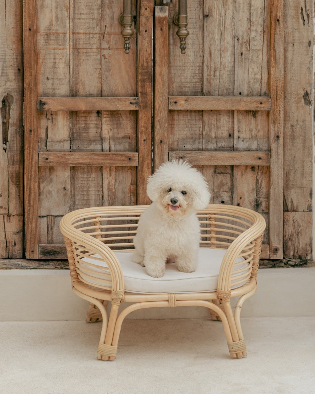 Dewa Rattan Dog Bed - Natural, White