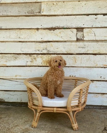 Dewa Rattan Dog Bed - Natural, White